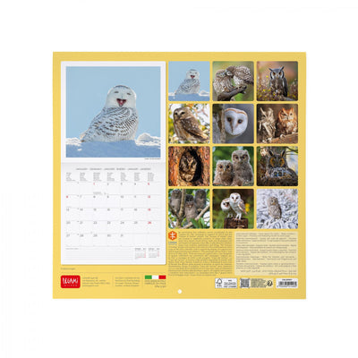 Calendario da Muro 2025 - Outstanding Owls - 30 x 29 cm