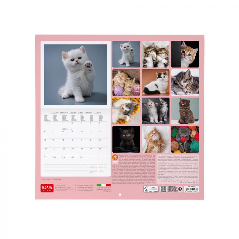 Calendario da Muro 2025 - Kittens - 30 x 29 cm - Cats