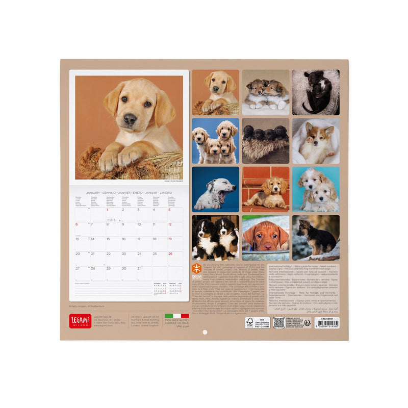 Calendario da Muro 2025 - Puppies - 30 x 29 cm