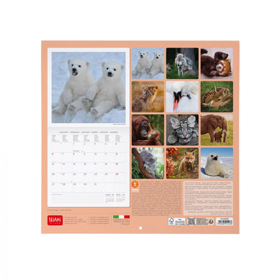 Calendario da Muro 2025 - Baby Animals - 30 x 29 cm