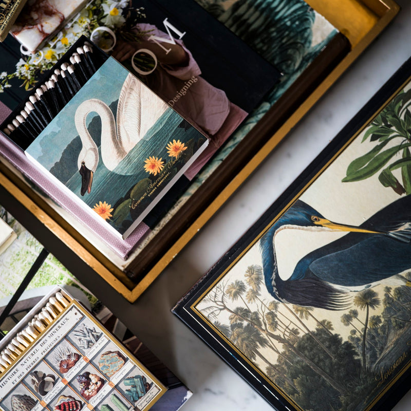 Fiammiferi in Legno The Archivist Louisiana Heron Giant