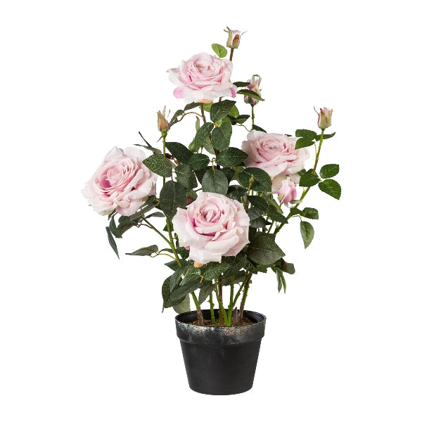 Pianta di Rose con Vaso in PVC 68 cm Rosa