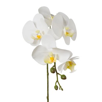 Ramo Orchidea Bianco 45 cm
