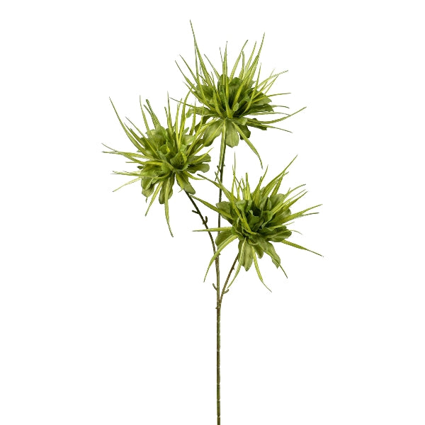 Ramo Epiphyllun Verde 73 cm