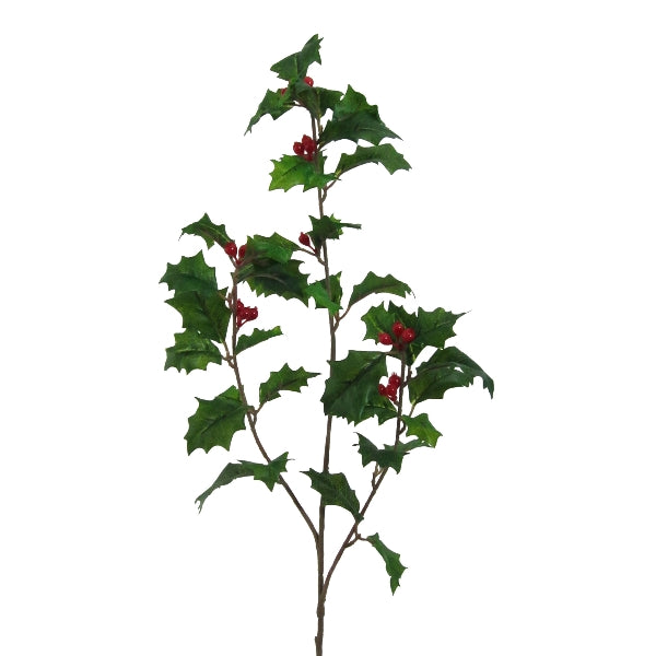Ramo Agrifoglio Verde 70 cm