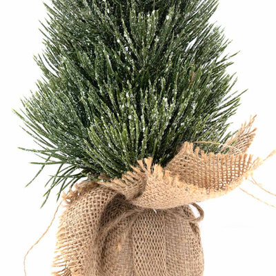 Abete Pino Brina con Sacco Juta 33 cm