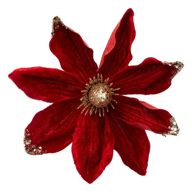 Magnolia Rosso con Clip 22 cm