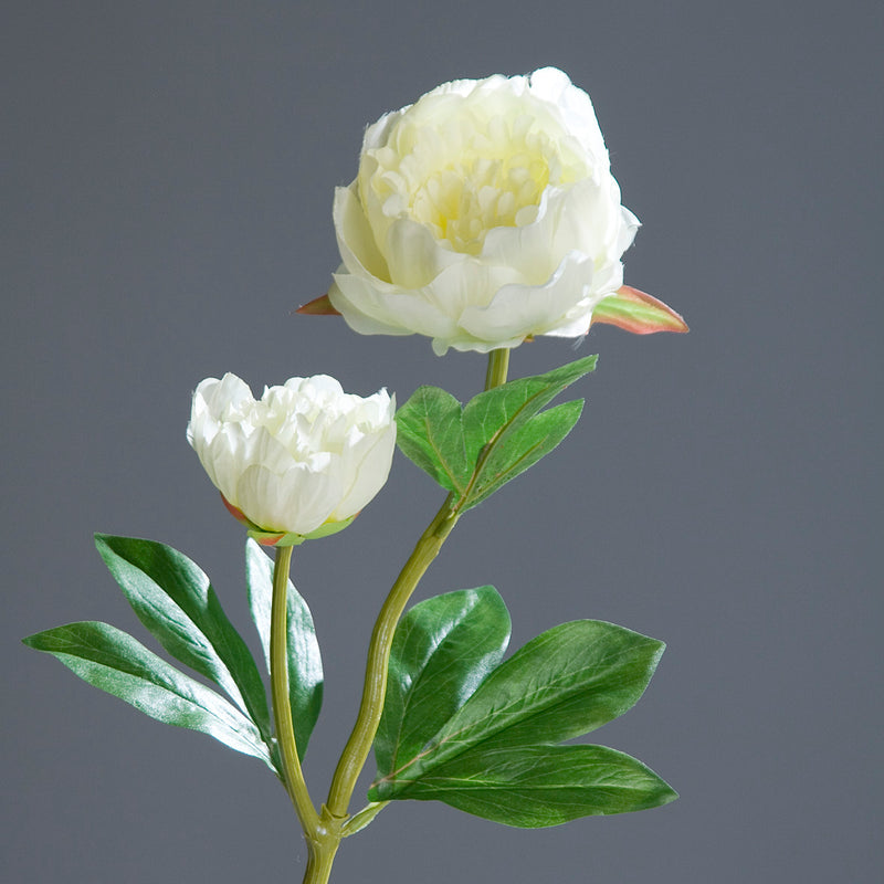 Ramo Peonia con Bocciolo Avorio 60 cm