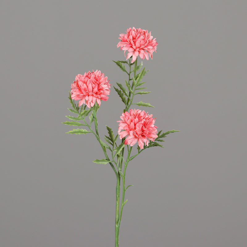 Ramo Crisantemo Rosa con Foglie 64 cm