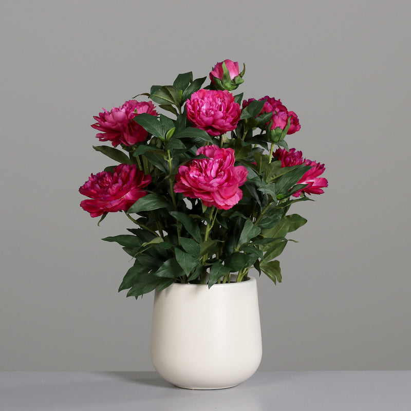 Peonia Premium Fucsia con Vaso in PVC 66 cm