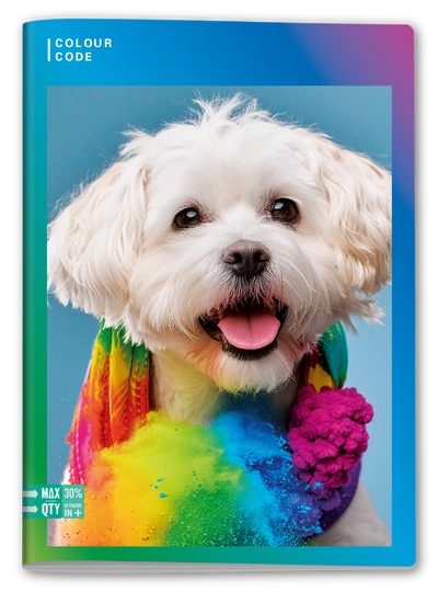 Quaderno A4 Maxi Colour Code Animal Multicolor Fantasie Assortite / 100 gr / Quadretti 5 mm