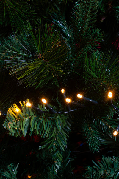 Filo Luci MiniCluster 1000 LED Traditional con Controller 20,5 mt