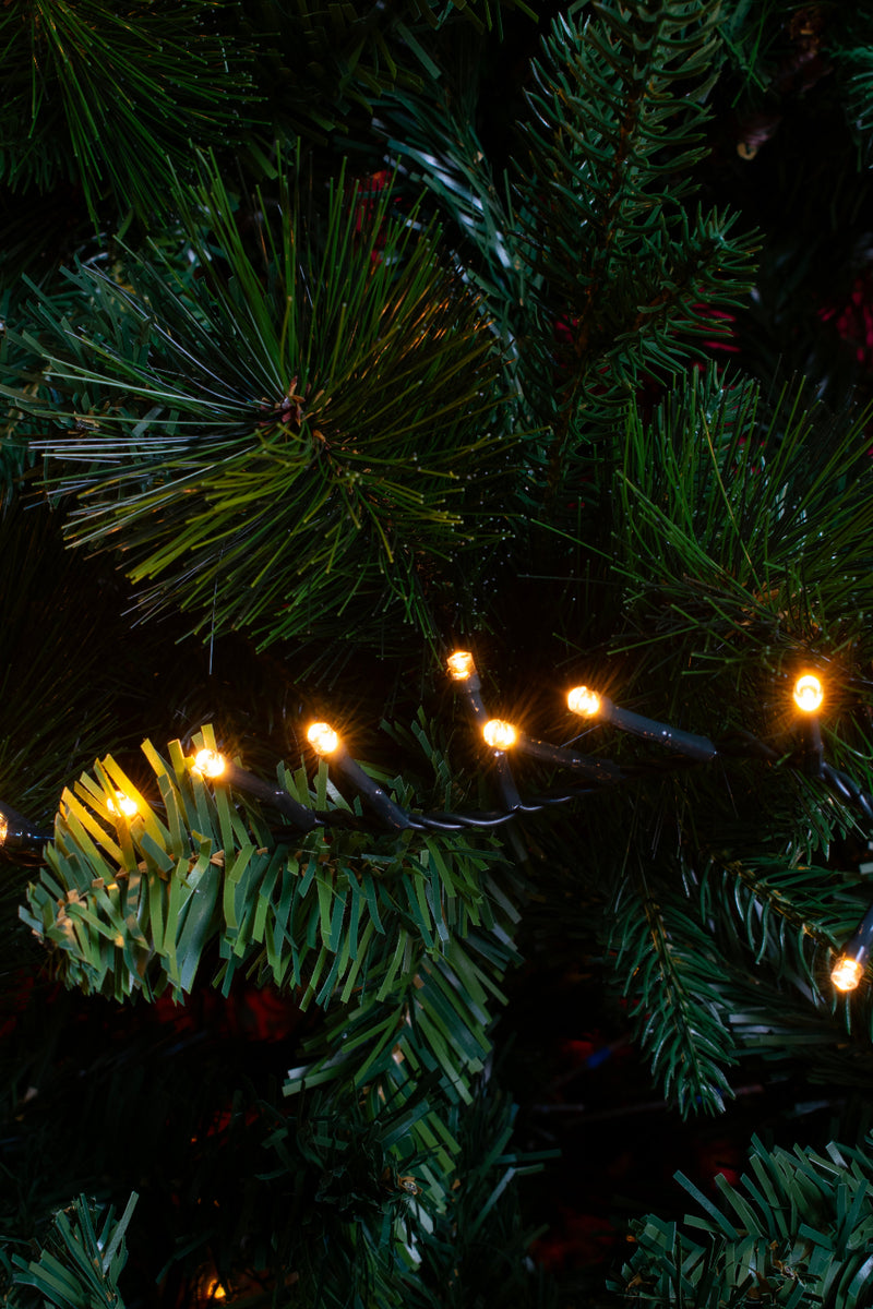 Filo Luci MiniCluster 1000 LED Traditional con Controller 20,5 mt