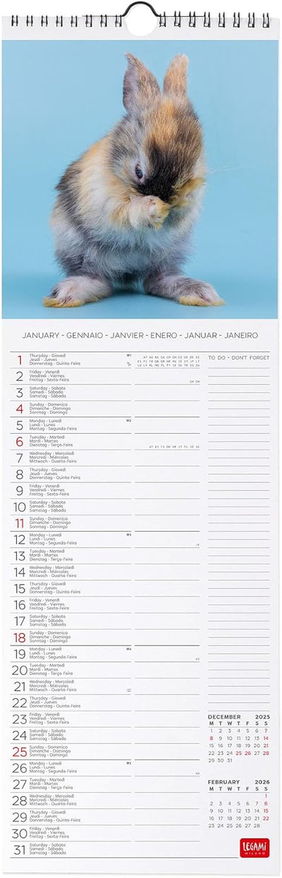 Calendario da Parete 12 Mesi Legami con Planner Annuale 2026 Honey Bunny 16 x 49 cm