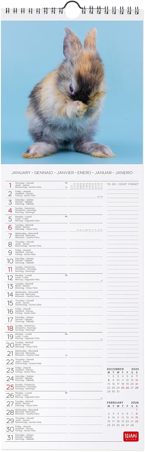 Calendario da Parete 12 Mesi Legami con Planner Annuale 2026 Honey Bunny 16 x 49 cm