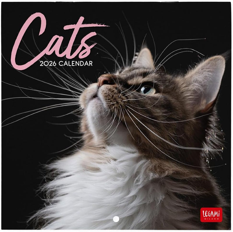 Calendario da Parete 12 Mesi Legami con Planner Annuale 2026 Cats 18 x 18 cm