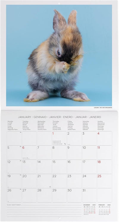 Calendario da Parete 12 Mesi Legami con Planner Annuale 2026 Honey Bunny 30 x 29 cm