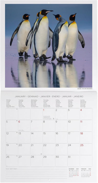 Calendario da Parete 12 Mesi Legami con Planner Annuale 2026 Penguins 30 x 29 cm