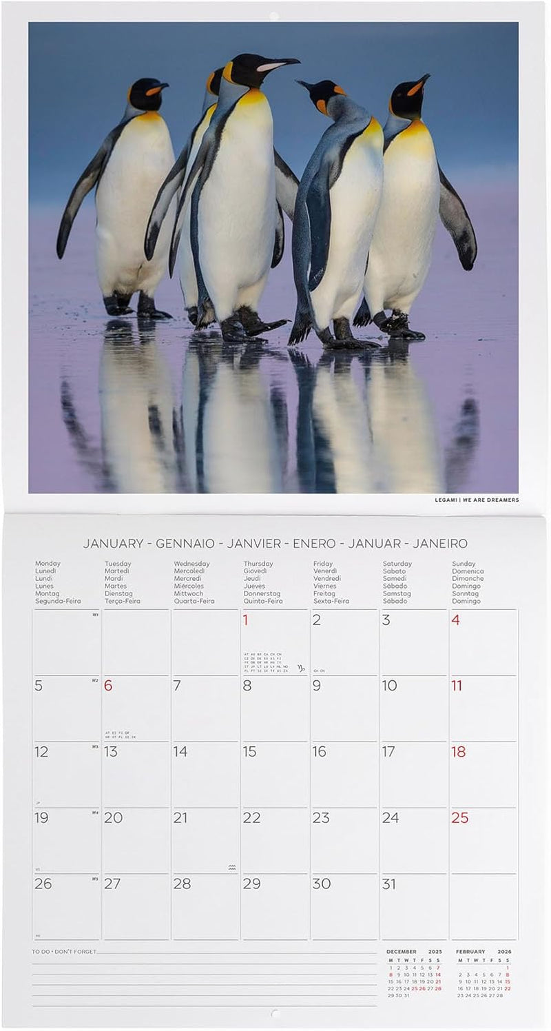 Calendario da Parete 12 Mesi Legami con Planner Annuale 2026 Penguins 30 x 29 cm