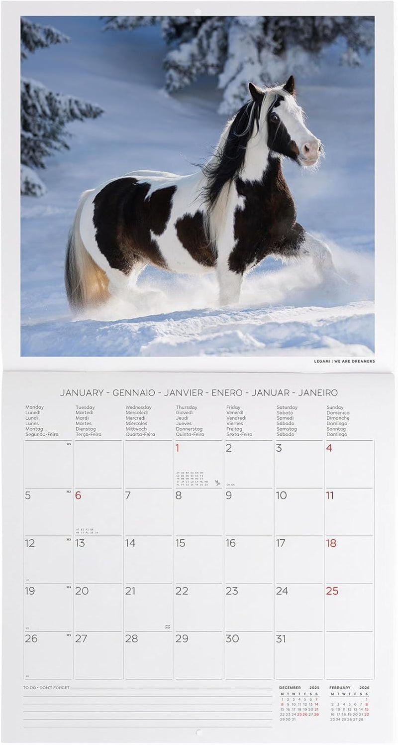 Calendario da Parete 12 Mesi Legami con Planner Annuale 2026 Wild Horses 30 x 29 cm