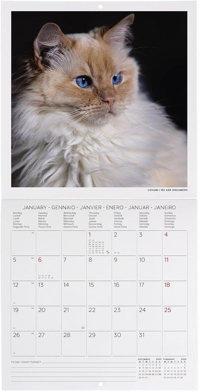 Calendario da Parete 12 Mesi Legami con Planner Annuale 2026 Cats 18 x 18 cm