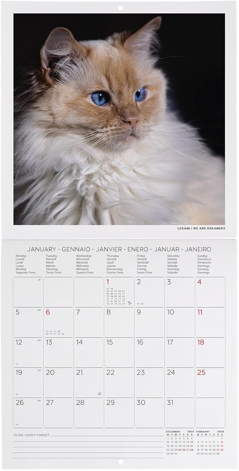Calendario da Parete 12 Mesi Legami con Planner Annuale 2026 Cats 18 x 18 cm