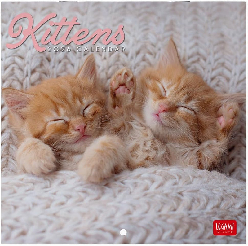 Calendario da Parete 12 Mesi Legami con Planner Annuale 2026 Kittens 18 x 18 cm