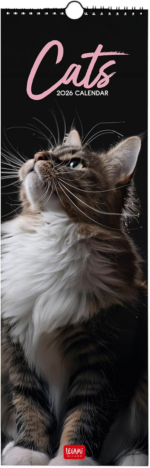 Calendario da Parete 12 Mesi Legami con Planner Annuale 2026 Cats 16 x 49 cm