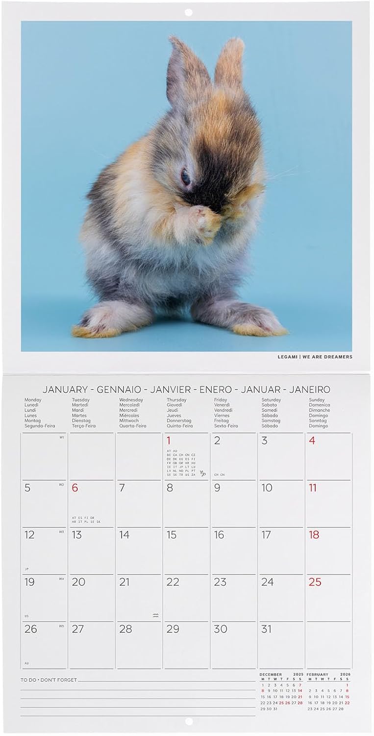 Calendario da Parete 12 Mesi Legami con Planner Annuale 2026 Honey Bunny 18 x 18 cm