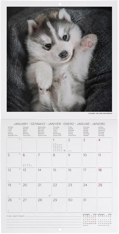 Calendario da Parete 12 Mesi Legami con Planner Annuale 2026 Puppies 18 x 18 cm