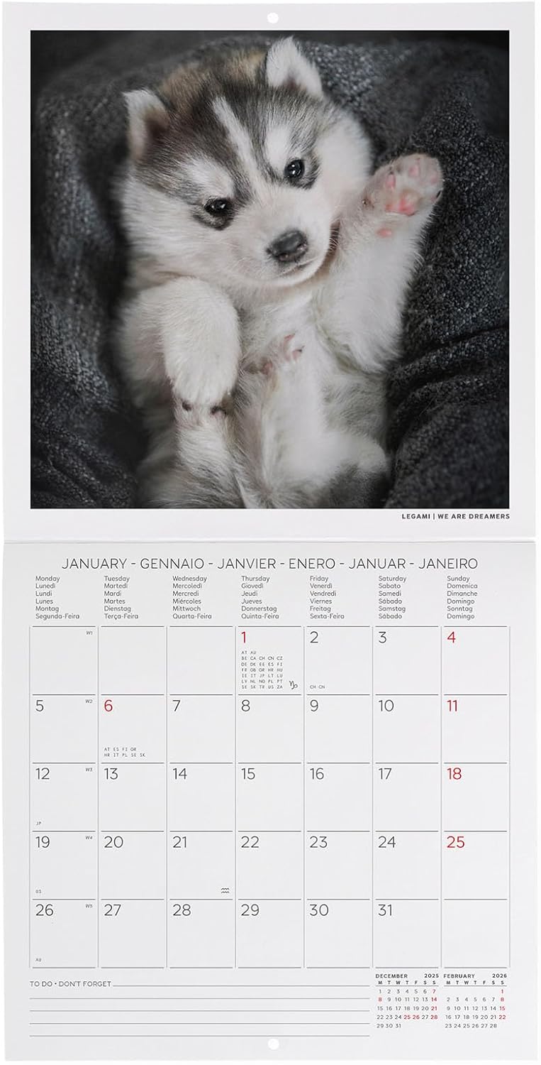 Calendario da Parete 12 Mesi Legami con Planner Annuale 2026 Puppies 18 x 18 cm