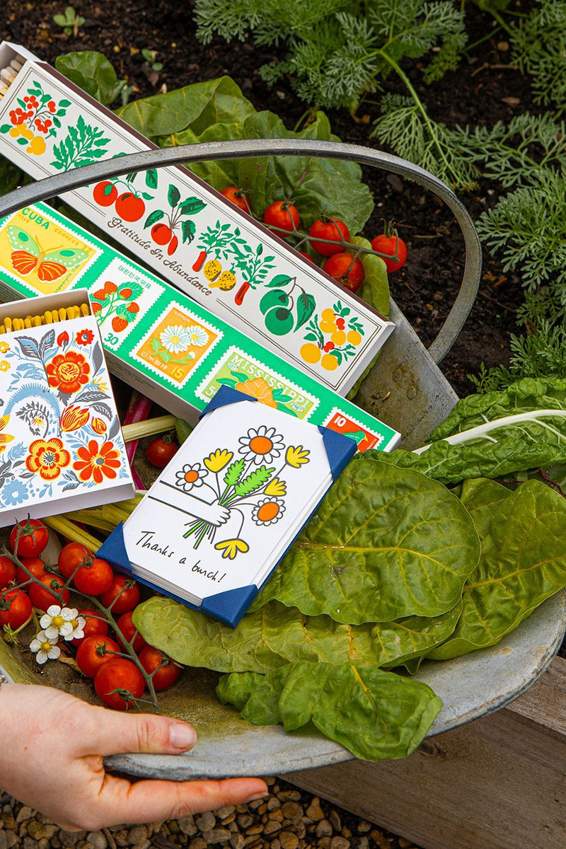 Fiammiferi in Legno The Archivist Gratitude in Abundances Long