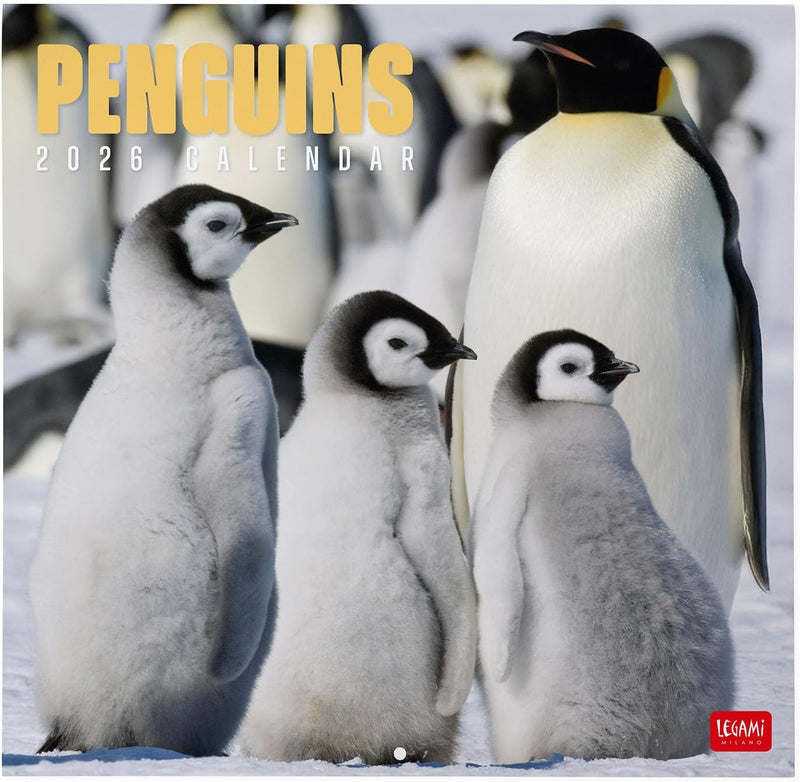 Calendario da Parete 12 Mesi Legami con Planner Annuale 2026 Penguins 30 x 29 cm