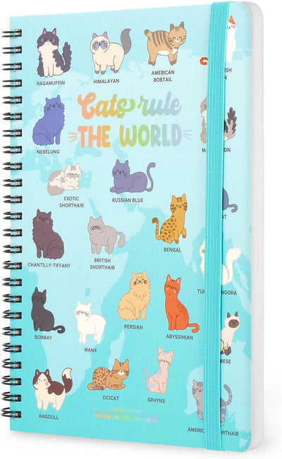 Agenda 12 Mesi Legami Settimanale Spiralata Large 2026 Kitty con Chiusura ad Elastico