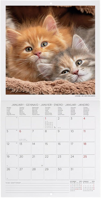 Calendario da Parete 12 Mesi Legami con Planner Annuale 2026 Kittens 18 x 18 cm