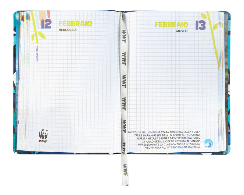 Diario 12 Mesi 24/25 Standard Procione WWF Illustrato