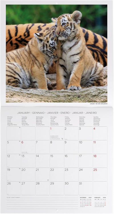 Calendario da Parete 12 Mesi Legami con Planner Annuale 2026 Baby Animals 30 x 29 cm