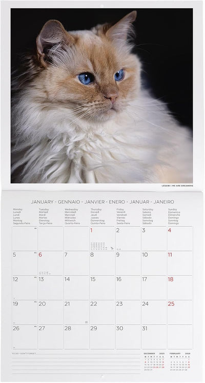 Calendario da Parete 12 Mesi Legami con Planner Annuale 2026 Cats 30 x 29 cm
