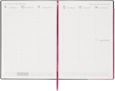 Agenda 12 Mesi Legami Settimanale Maxi 2026 Raspberry con Chiusura ad Elastico