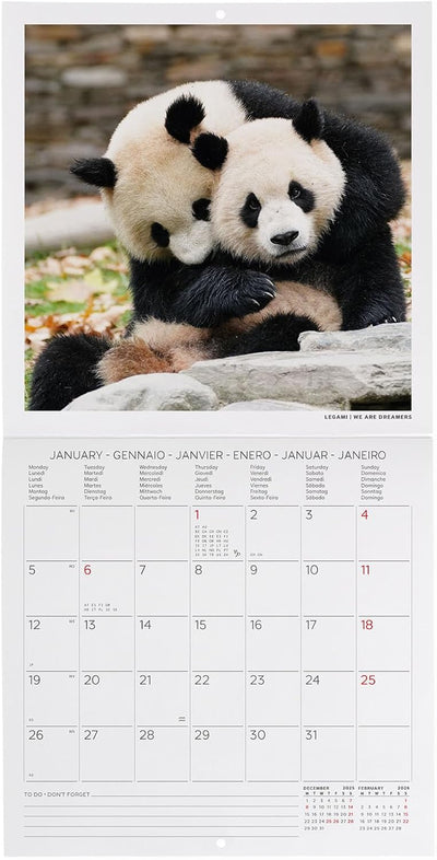 Calendario da Parete 12 Mesi Legami con Planner Annuale 2026 Life is Pantastic 18 x 18 cm
