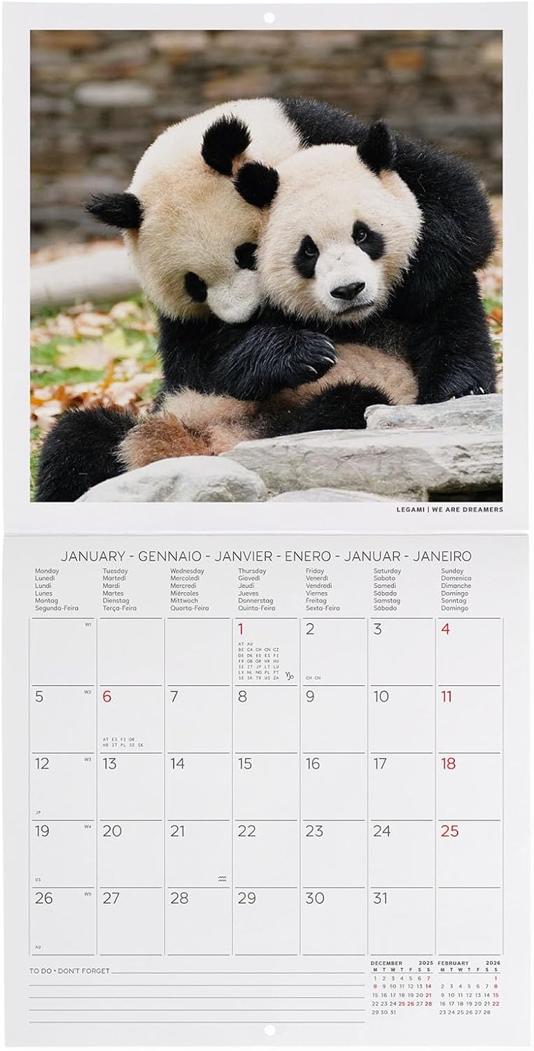 Calendario da Parete 12 Mesi Legami con Planner Annuale 2026 Life is Pantastic 18 x 18 cm