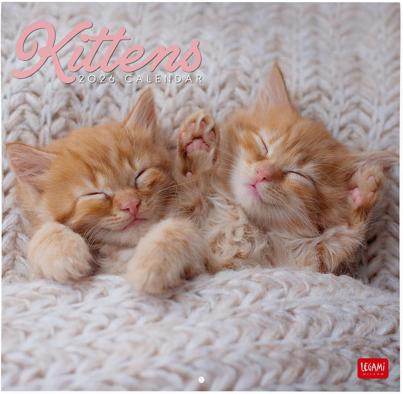 Calendario da Parete 12 Mesi Legami con Planner Annuale 2026 Kittens 30 x 29 cm