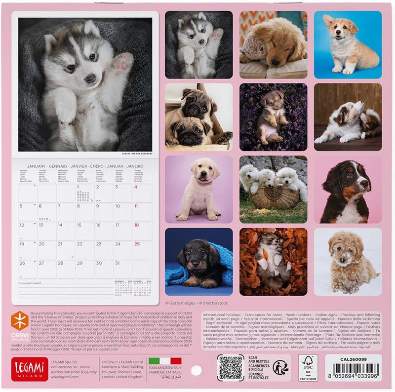 Calendario da Parete 12 Mesi Legami con Planner Annuale 2026 Puppies 18 x 18 cm