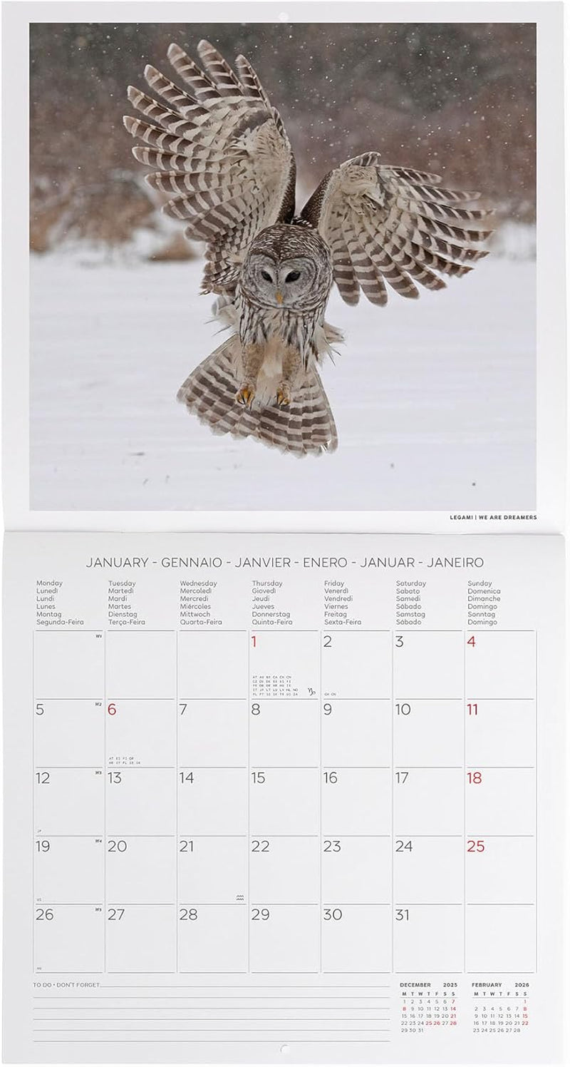 Calendario da Parete 12 Mesi Legami con Planner Annuale 2026 Outstanding Owls 30 x 29 cm