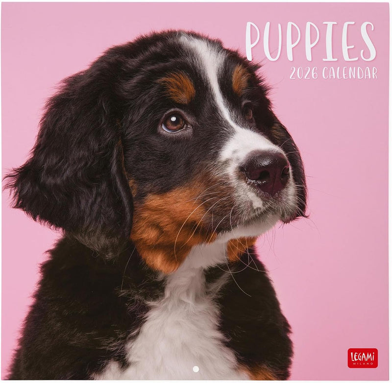 Calendario da Parete 12 Mesi Legami con Planner Annuale 2026 Puppies 30 x 29 cm