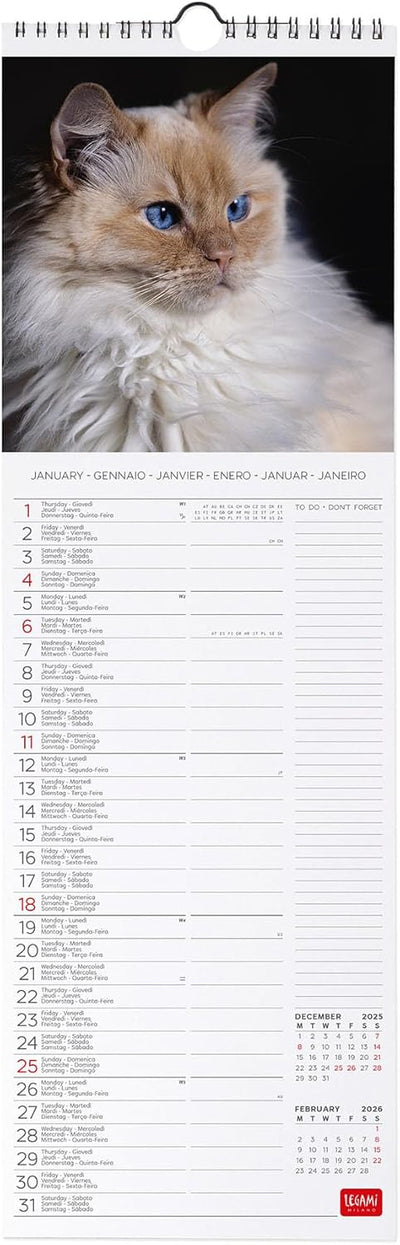 Calendario da Parete 12 Mesi Legami con Planner Annuale 2026 Cats 16 x 49 cm