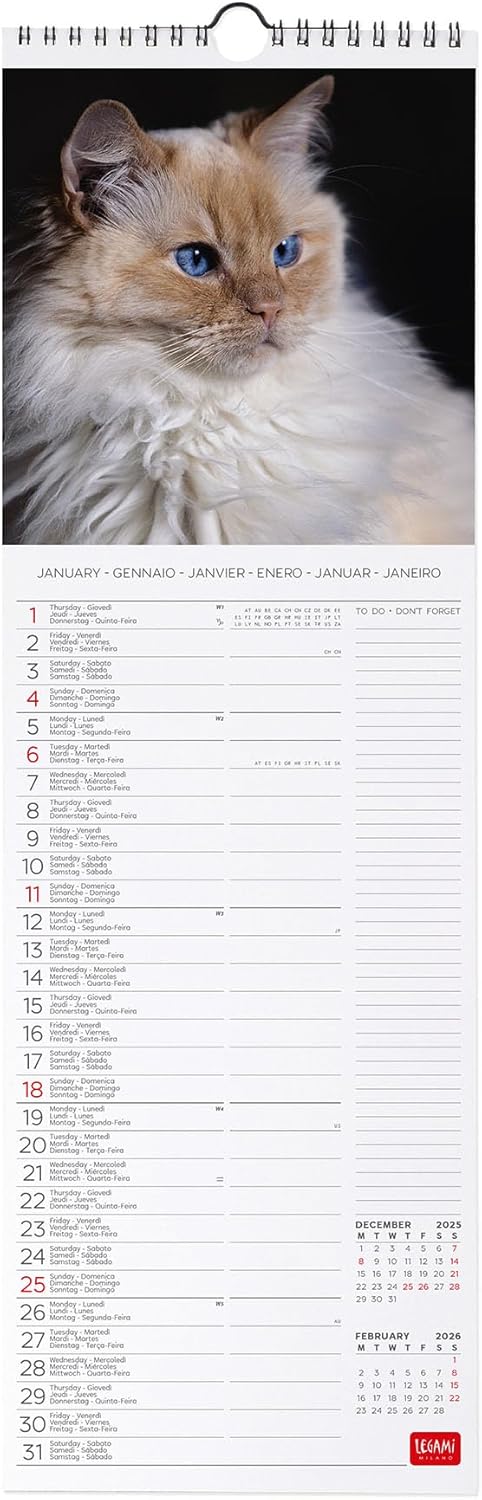 Calendario da Parete 12 Mesi Legami con Planner Annuale 2026 Cats 16 x 49 cm