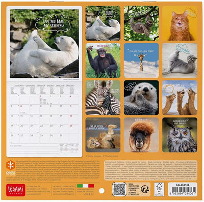 Calendario da Parete 12 Mesi Legami con Planner Annuale 2026 Take it Easy 18 x 18 cm