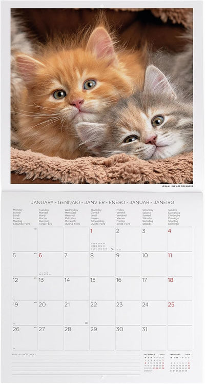 Calendario da Parete 12 Mesi Legami con Planner Annuale 2026 Kittens 30 x 29 cm