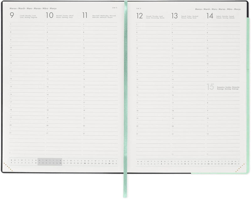 Agenda 12 Mesi Legami Settimanale Maxi 2026 Pastel Mint con Chiusura ad Elastico
